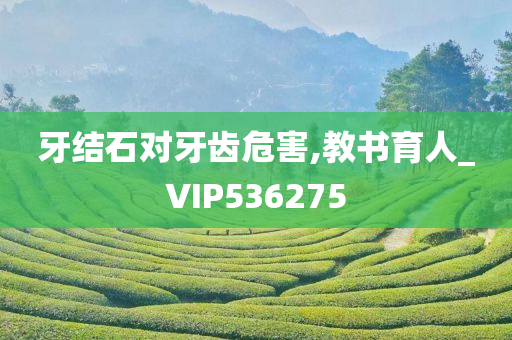 牙结石对牙齿危害,教书育人_VIP536275