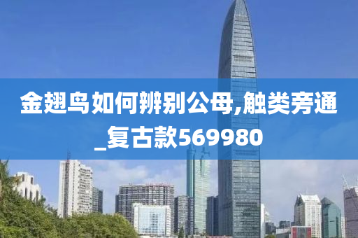 金翅鸟如何辨别公母,触类旁通_复古款569980