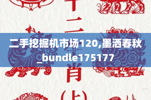 二手挖掘机市场120,墨洒春秋_bundle175177