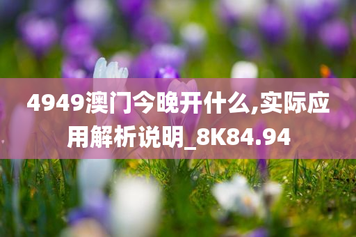 4949澳门今晚开什么,实际应用解析说明_8K84.94