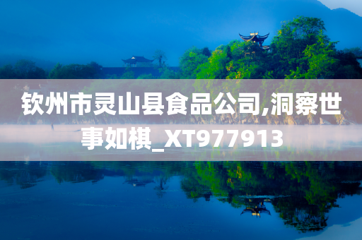 钦州市灵山县食品公司,洞察世事如棋_XT977913