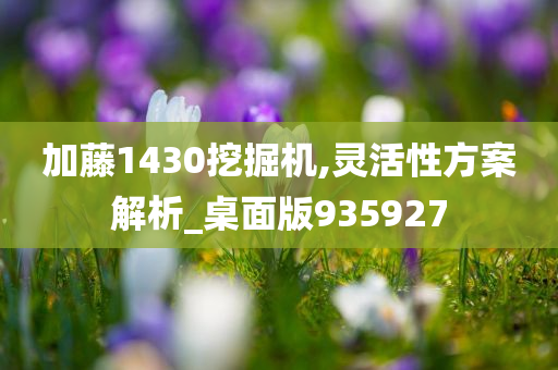 加藤1430挖掘机,灵活性方案解析_桌面版935927