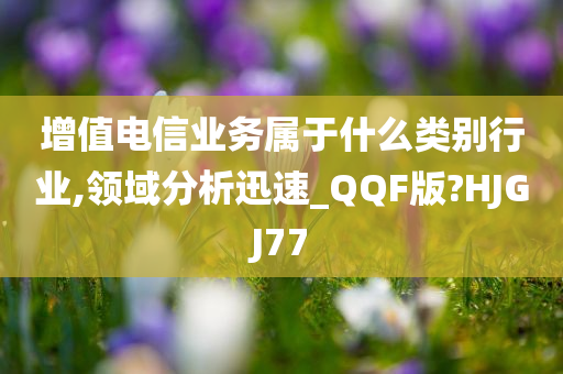 增值电信业务属于什么类别行业,领域分析迅速_QQF版?HJGJ77