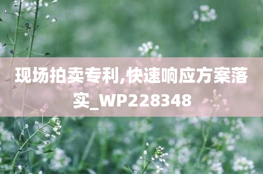 现场拍卖专利,快速响应方案落实_WP228348