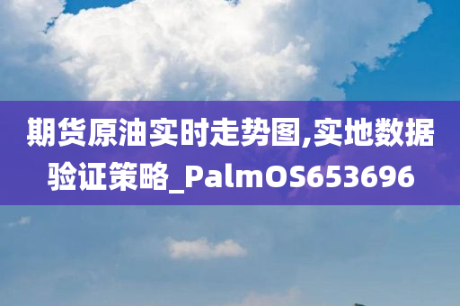 期货原油实时走势图,实地数据验证策略_PalmOS653696