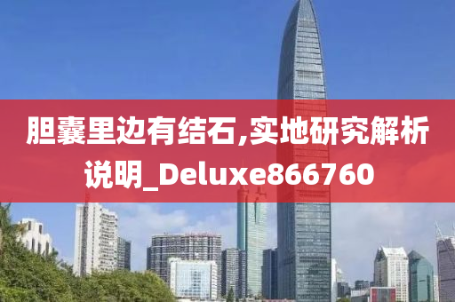 胆囊里边有结石,实地研究解析说明_Deluxe866760