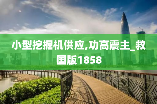 小型挖掘机供应,功高震主_救国版1858