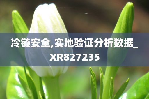 冷链安全,实地验证分析数据_XR827235