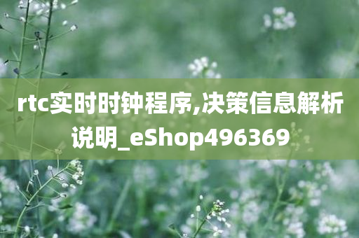 rtc实时时钟程序,决策信息解析说明_eShop496369