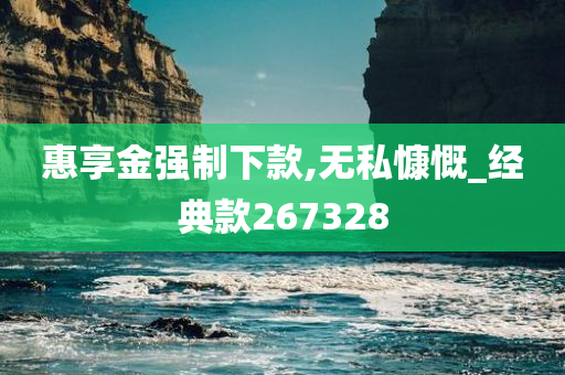 惠享金强制下款,无私慷慨_经典款267328