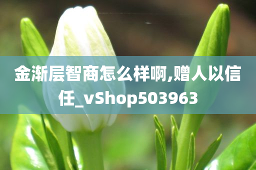 金渐层智商怎么样啊,赠人以信任_vShop503963