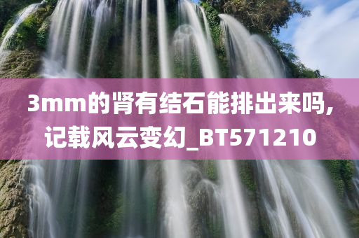 3mm的肾有结石能排出来吗,记载风云变幻_BT571210