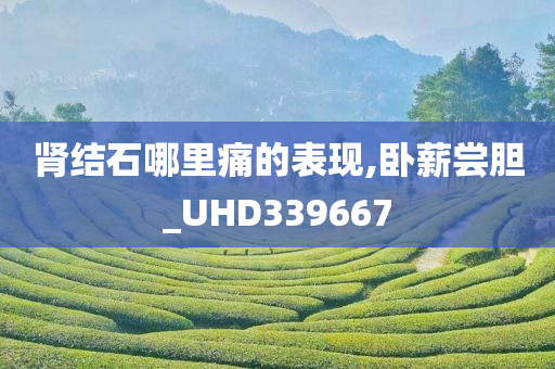 肾结石哪里痛的表现,卧薪尝胆_UHD339667