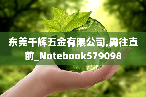 东莞千辉五金有限公司,勇往直前_Notebook579098