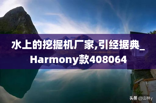 水上的挖掘机厂家,引经据典_Harmony款408064