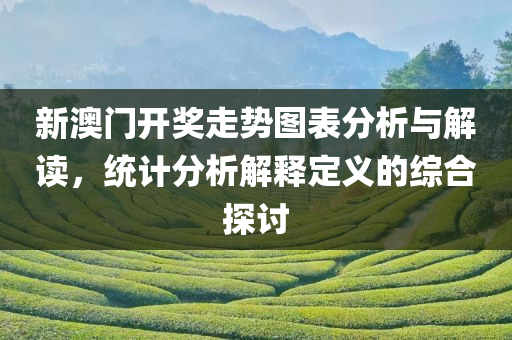 新澳门开奖走势图表分析与解读，统计分析解释定义的综合探讨