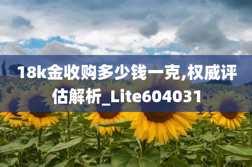 18k金收购多少钱一克,权威评估解析_Lite604031