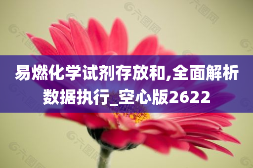 易燃化学试剂存放和,全面解析数据执行_空心版2622