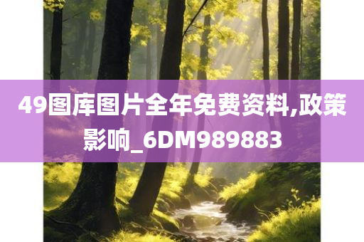 49图库图片全年免费资料,政策影响_6DM989883