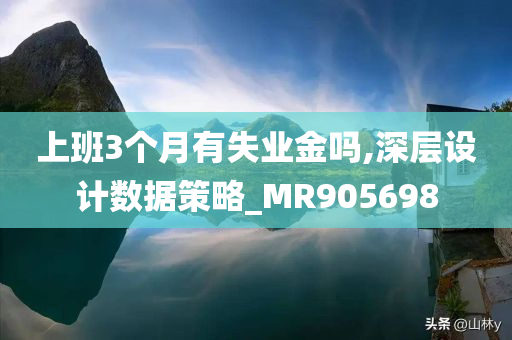 上班3个月有失业金吗,深层设计数据策略_MR905698