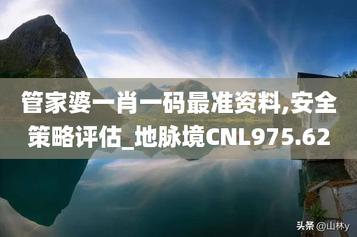 管家婆一肖一码最准资料,安全策略评估_地脉境CNL975.62