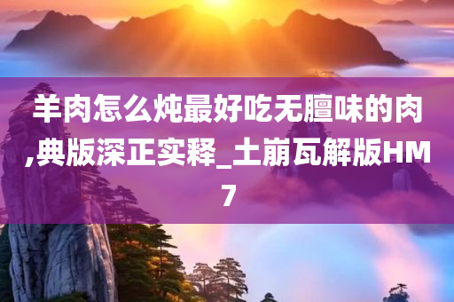 羊肉怎么炖最好吃无膻味的肉,典版深正实释_土崩瓦解版HM7