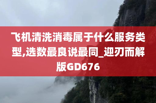 飞机清洗消毒属于什么服务类型,选数最良说最同_迎刃而解版GD676