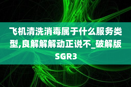 飞机清洗消毒属于什么服务类型,良解解解动正说不_破解版SGR3