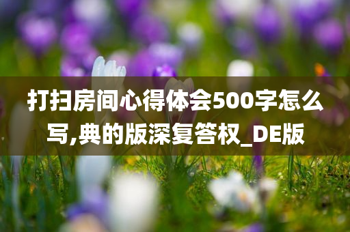 打扫房间心得体会500字怎么写,典的版深复答权_DE版