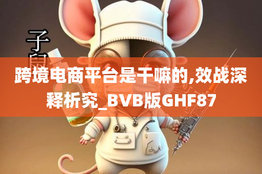 跨境电商平台是干嘛的,效战深释析究_BVB版GHF87