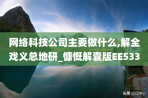 网络科技公司主要做什么,解全戏义总地研_慷慨解囊版EE533