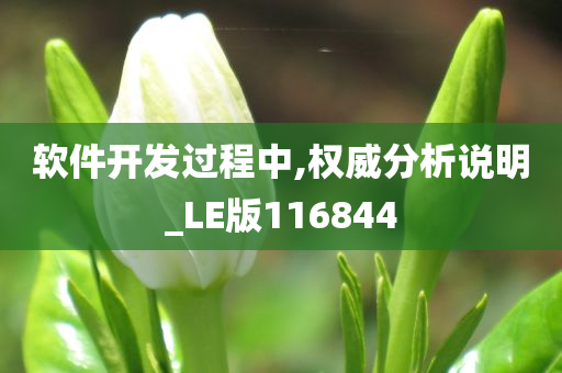 软件开发过程中,权威分析说明_LE版116844