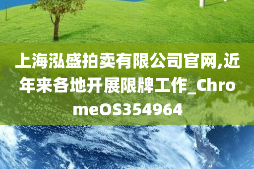 上海泓盛拍卖有限公司官网,近年来各地开展限牌工作_ChromeOS354964