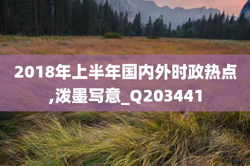 2018年上半年国内外时政热点,泼墨写意_Q203441