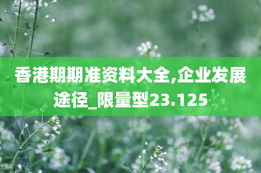 香港期期准资料大全,企业发展途径_限量型23.125