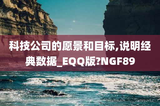 科技公司的愿景和目标,说明经典数据_EQQ版?NGF89