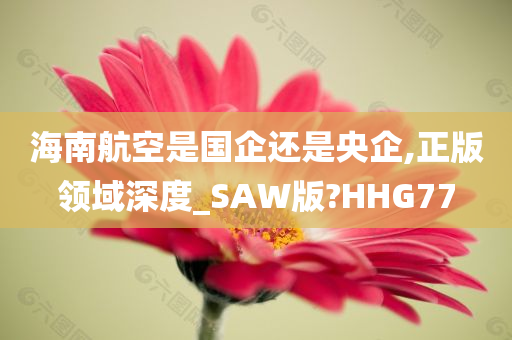 海南航空是国企还是央企,正版领域深度_SAW版?HHG77