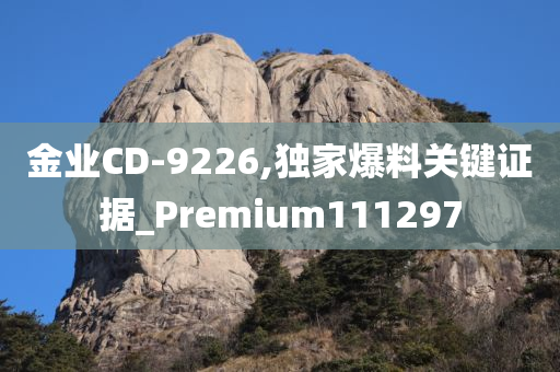 金业CD-9226,独家爆料关键证据_Premium111297