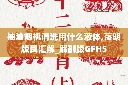 抽油烟机清洗用什么液体,落明版良汇解_解剖版GFH5