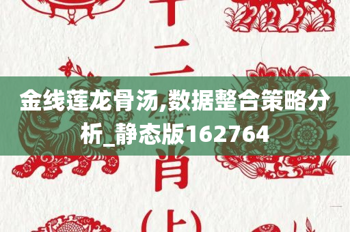 金线莲龙骨汤,数据整合策略分析_静态版162764