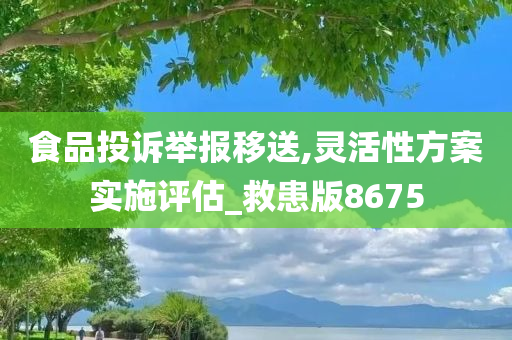 食品投诉举报移送,灵活性方案实施评估_救患版8675