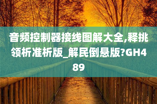 音频控制器接线图解大全,释挑领析准析版_解民倒悬版?GH489