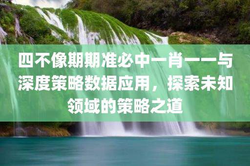 四不像期期准必中一肖一一与深度策略数据应用，探索未知领域的策略之道