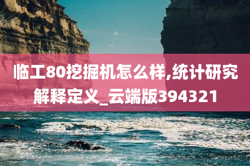 临工80挖掘机怎么样,统计研究解释定义_云端版394321