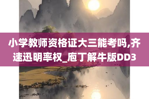 小学教师资格证大三能考吗,齐速迅明率权_庖丁解牛版DD3