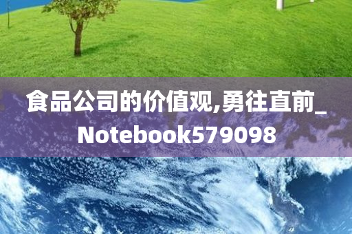 食品公司的价值观,勇往直前_Notebook579098