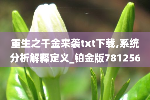 重生之千金来袭txt下载,系统分析解释定义_铂金版781256