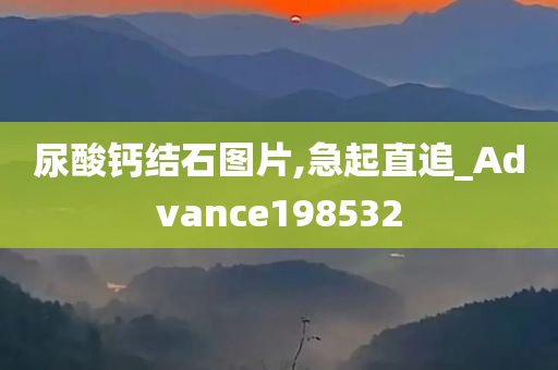 尿酸钙结石图片,急起直追_Advance198532