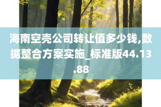 海南空壳公司转让值多少钱,数据整合方案实施_标准版44.13.88