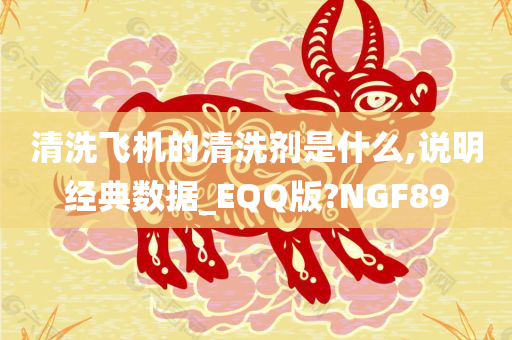 清洗飞机的清洗剂是什么,说明经典数据_EQQ版?NGF89